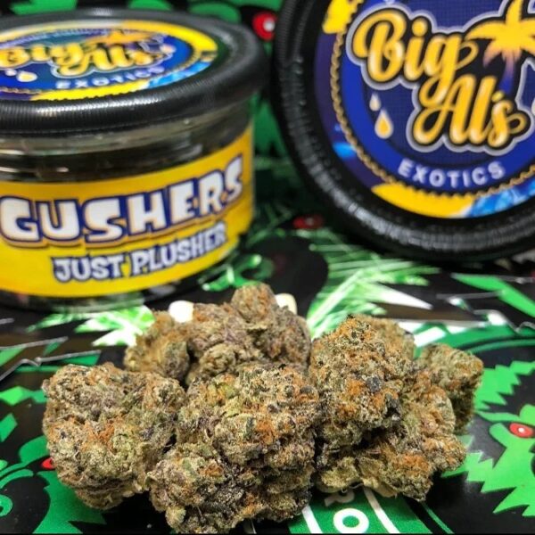 Buy Weed Online In Abu Dhabi - Image 5