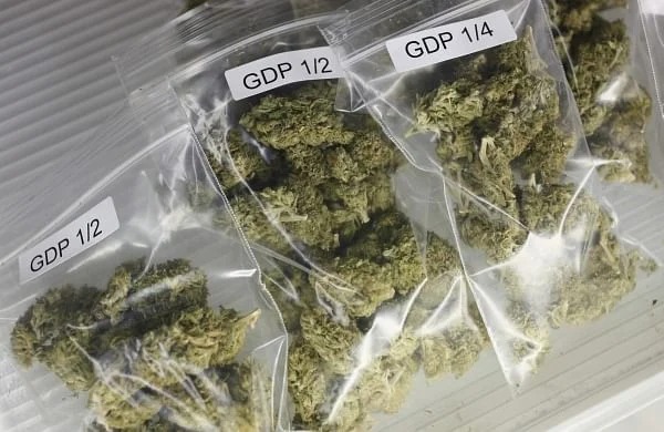 Buy Weed Online In UAE - Image 5